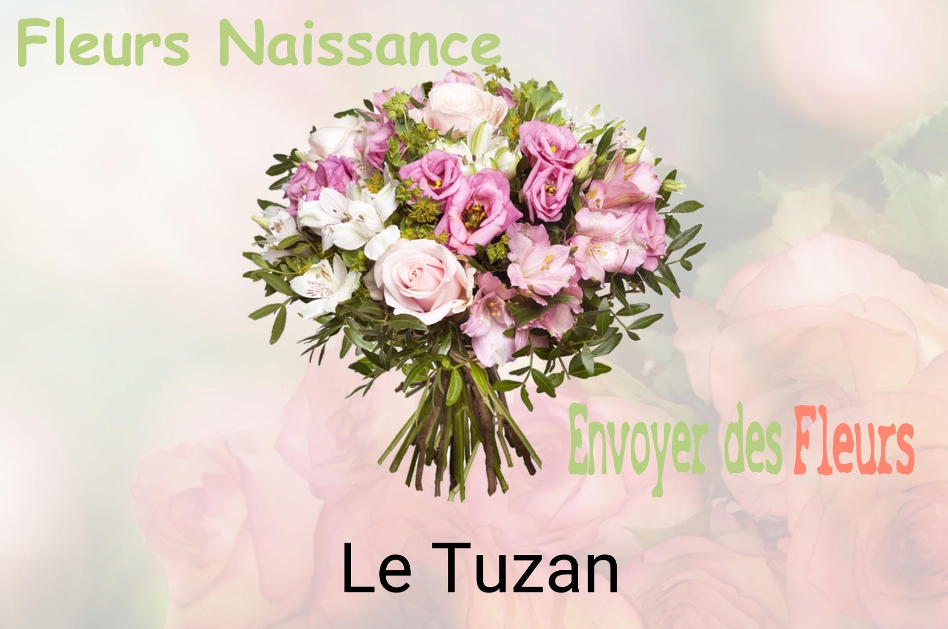 Bouquet de fleurs de naissance livré à Le Tuzan
