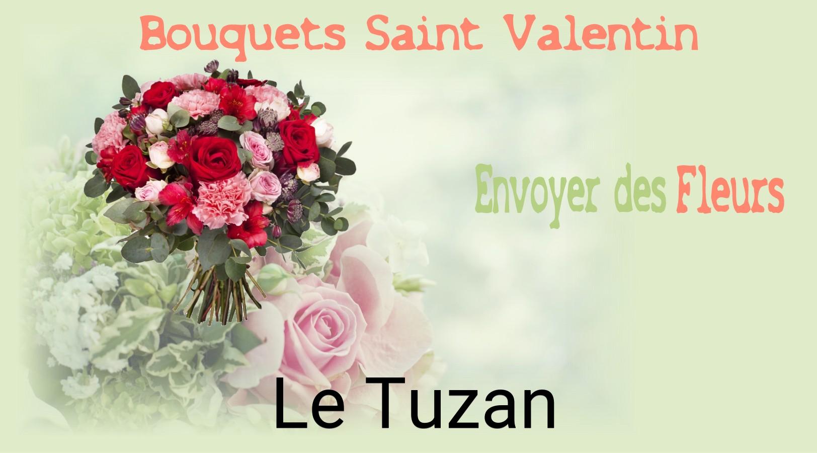 Roses de Saint-Valentin livrées à Le Tuzan