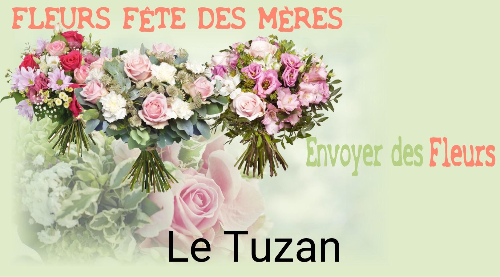 Bouquet de Fête des Mères livré à Le Tuzan